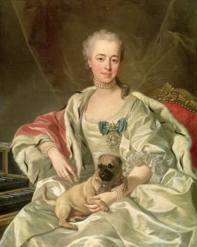 Princess Ekaterina Golitsyna (1720-91) 1759 by Louis Michel van Loo